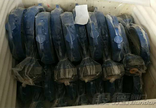 般德渦輪蝶閥、止回閥、過濾器等出口以色列