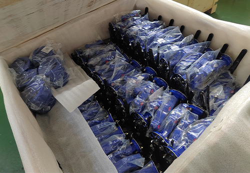 般德蝶閥、蝶式止回閥等產(chǎn)品出口澳大利亞